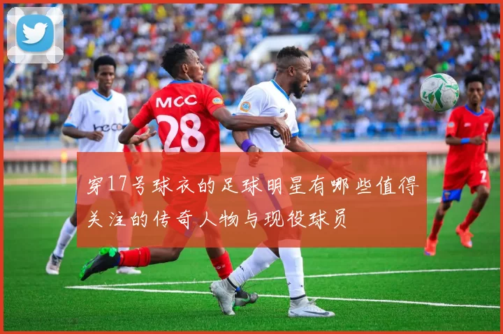 穿17号球衣的足球明星有哪些值得关注的传奇人物与现役球员