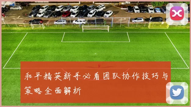 和平精英新手必看团队协作技巧与策略全面解析