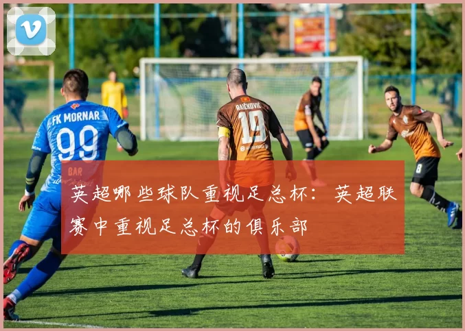 英超哪些球队重视足总杯：英超联赛中重视足总杯的俱乐部