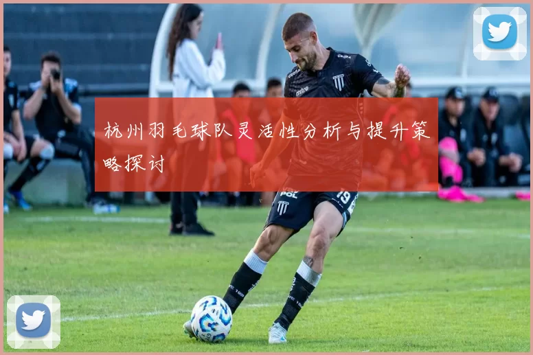 杭州羽毛球队灵活性分析与提升策略探讨