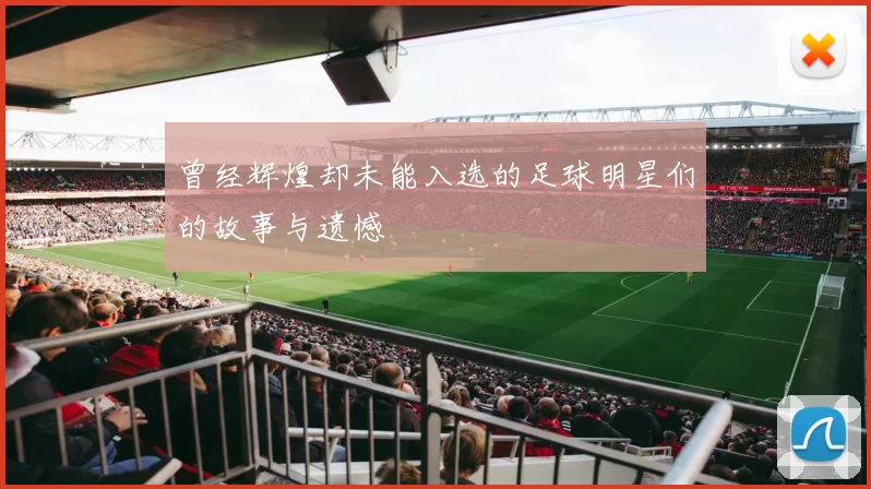 曾经辉煌却未能入选的足球明星们的故事与遗憾