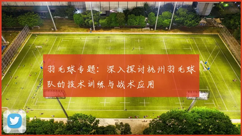 羽毛球专题：深入探讨杭州羽毛球队的技术训练与战术应用
