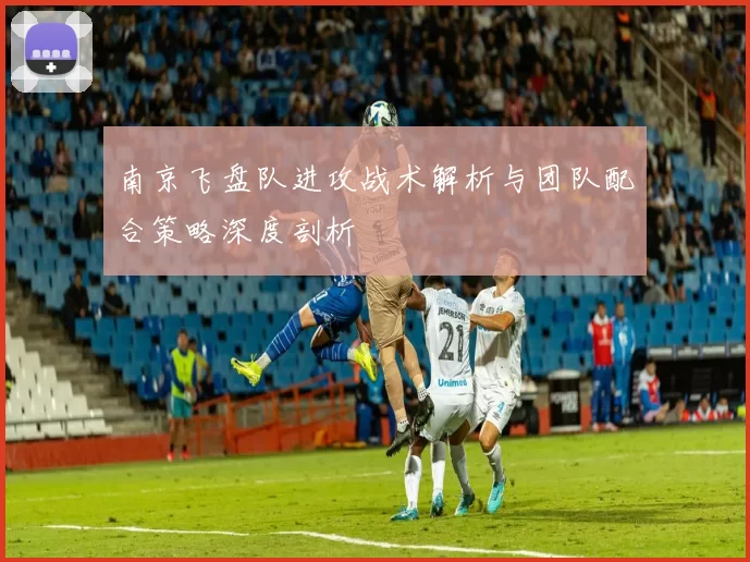 南京飞盘队进攻战术解析与团队配合策略深度剖析