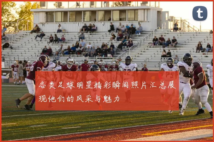 各类足球明星精彩瞬间照片汇总展现他们的风采与魅力