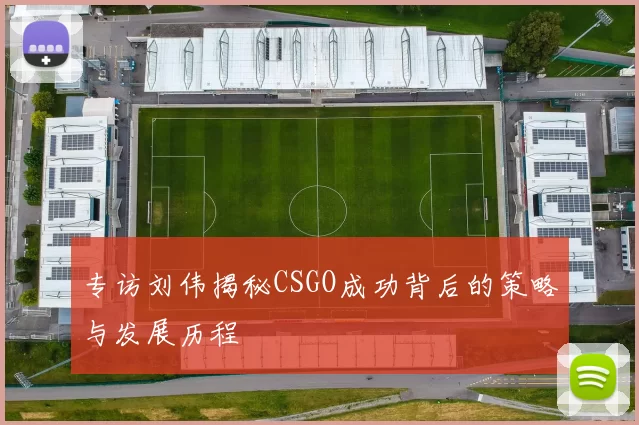 专访刘伟揭秘CSGO成功背后的策略与发展历程