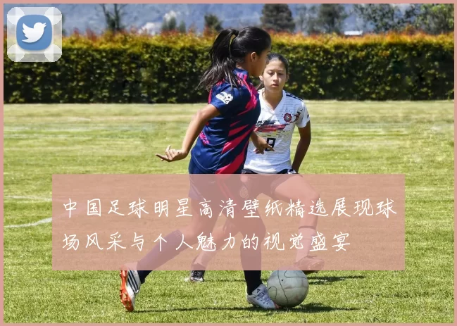 中国足球明星高清壁纸精选展现球场风采与个人魅力的视觉盛宴