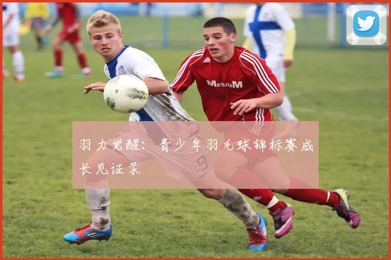 羽力觉醒：青少年羽毛球锦标赛成长见证录