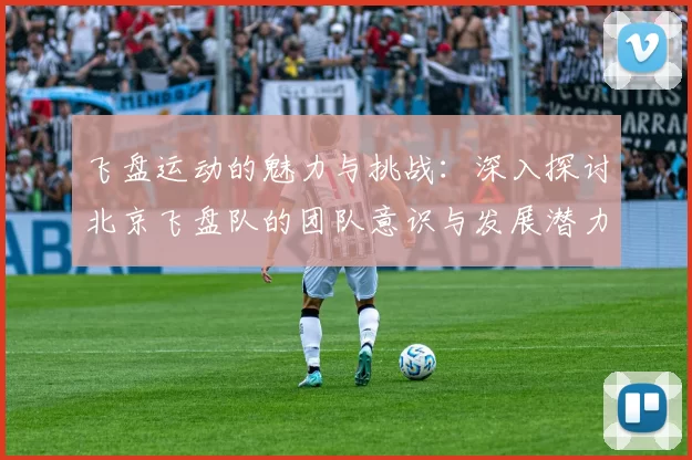 飞盘运动的魅力与挑战：深入探讨北京飞盘队的团队意识与发展潜力