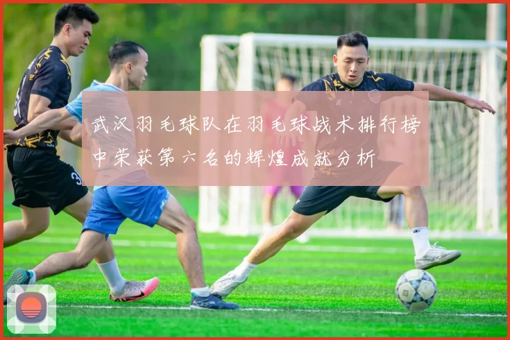 武汉羽毛球队在羽毛球战术排行榜中荣获第六名的辉煌成就分析