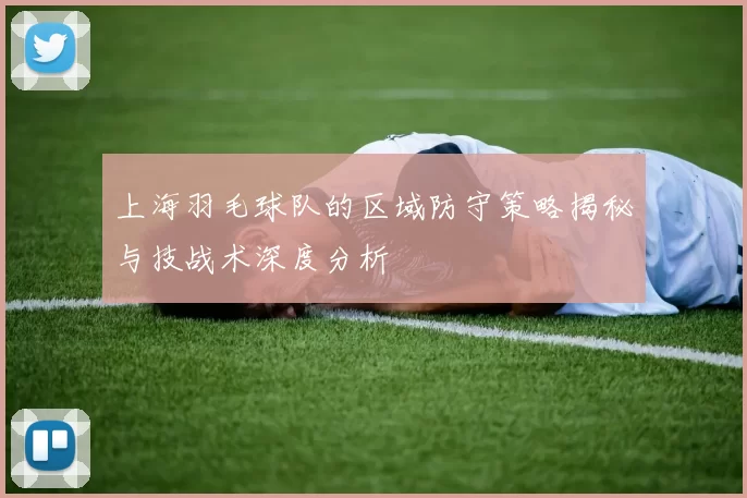 上海羽毛球队的区域防守策略揭秘与技战术深度分析