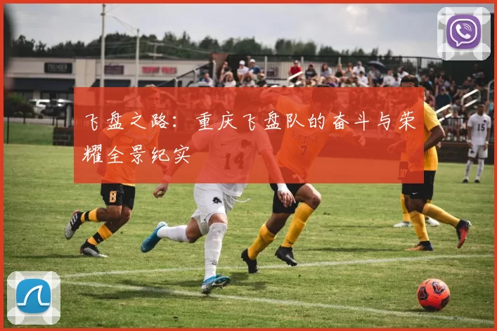 飞盘之路：重庆飞盘队的奋斗与荣耀全景纪实