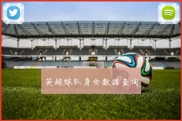 英超球队身价数据查询