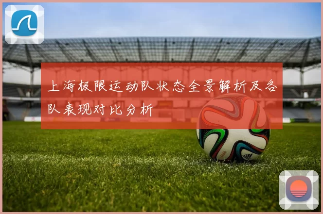 上海极限运动队状态全景解析及各队表现对比分析