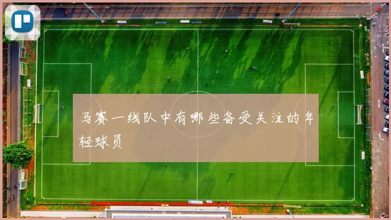 马赛一线队中有哪些备受关注的年轻球员