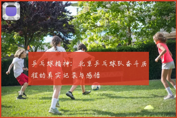 乒乓球精神：北京乒乓球队奋斗历程的真实记录与感悟