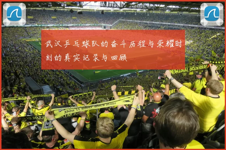 武汉乒乓球队的奋斗历程与荣耀时刻的真实记录与回顾