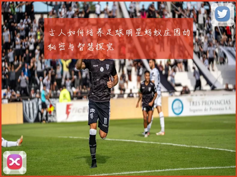 古人如何培养足球明星蚂蚁庄园的秘密与智慧探究