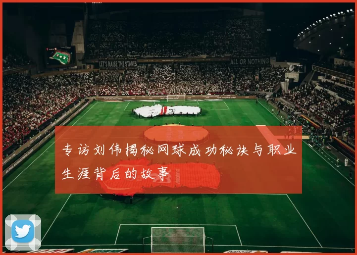 专访刘伟揭秘网球成功秘诀与职业生涯背后的故事