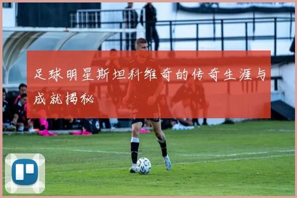 足球明星斯坦科维奇的传奇生涯与成就揭秘