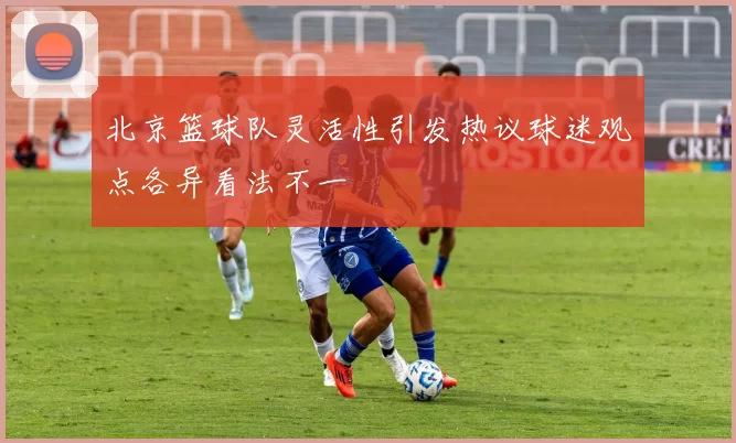 北京篮球队灵活性引发热议球迷观点各异看法不一