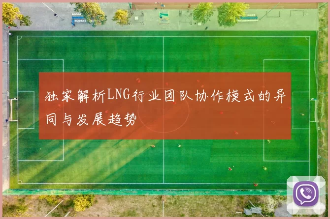 独家解析LNG行业团队协作模式的异同与发展趋势