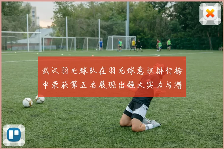 武汉羽毛球队在羽毛球意识排行榜中荣获第五名展现出强大实力与潜力