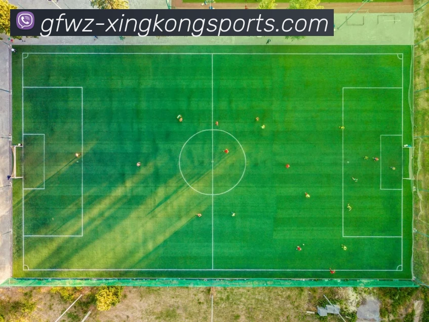 星空体育平台生态图